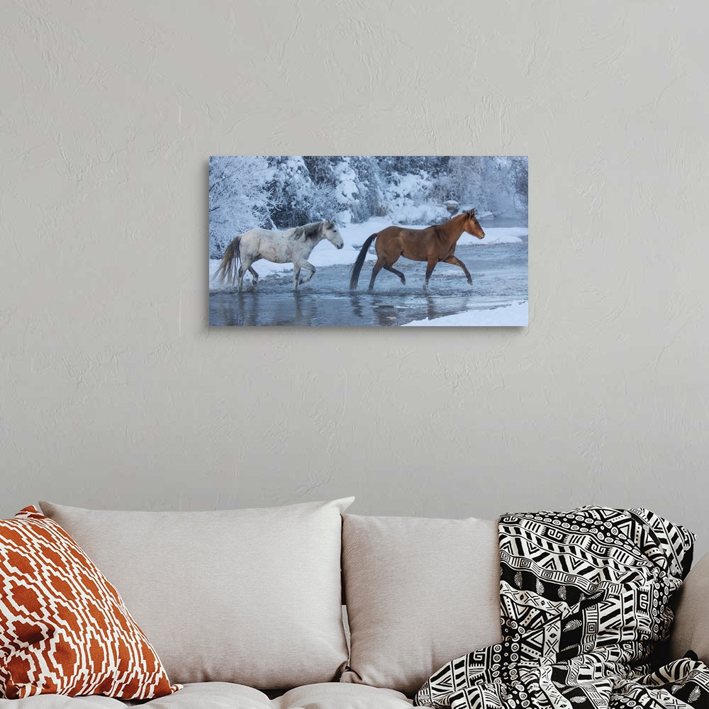 A bohemian room featuring Cowboy horse drive on Hideout Ranch, Shell, Wyoming. Horses crossing Shell Creek in winter.