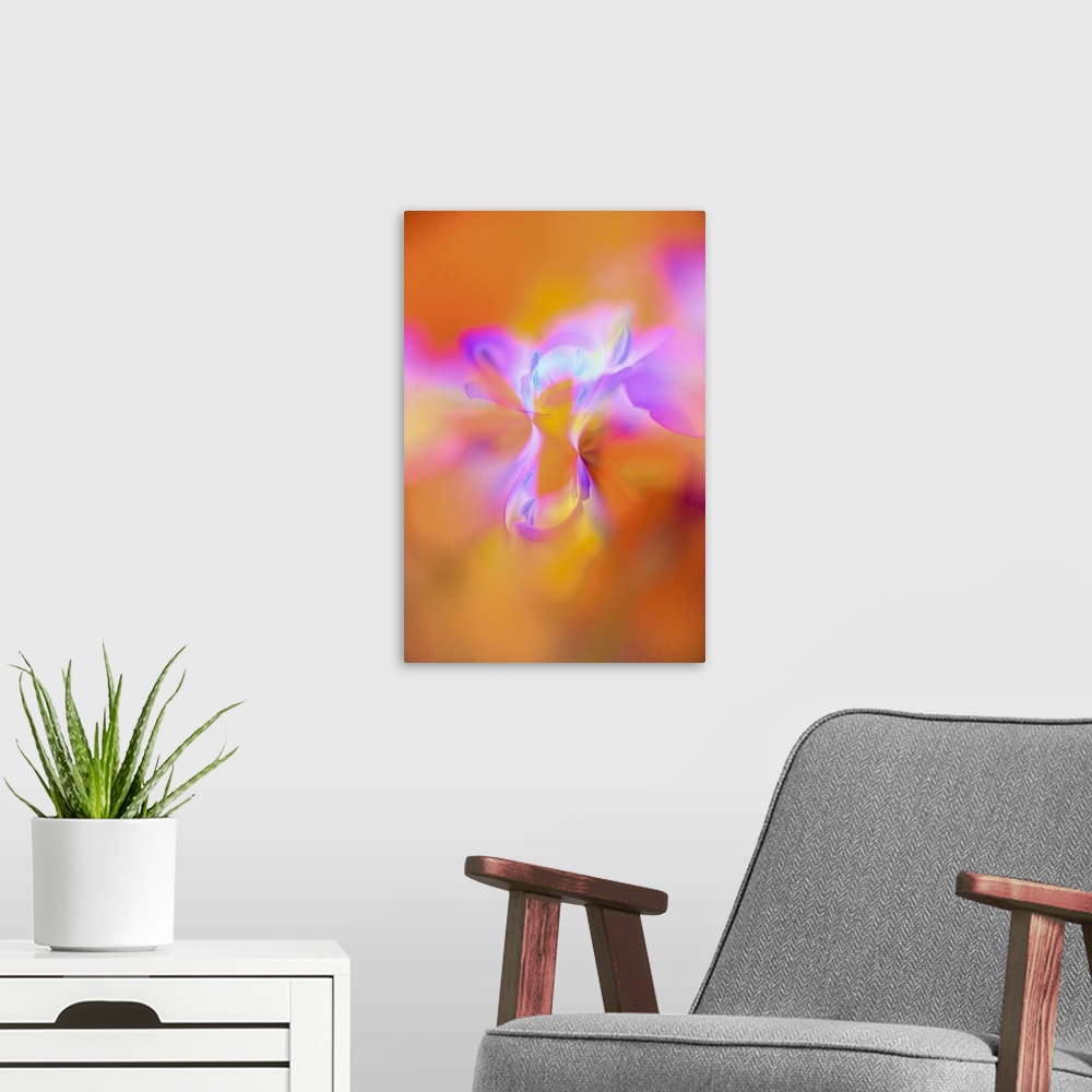 A modern room featuring Abstract of Davy Gilia flowers, Antelope Valley California Poppy Preserve, Lancaster, California....