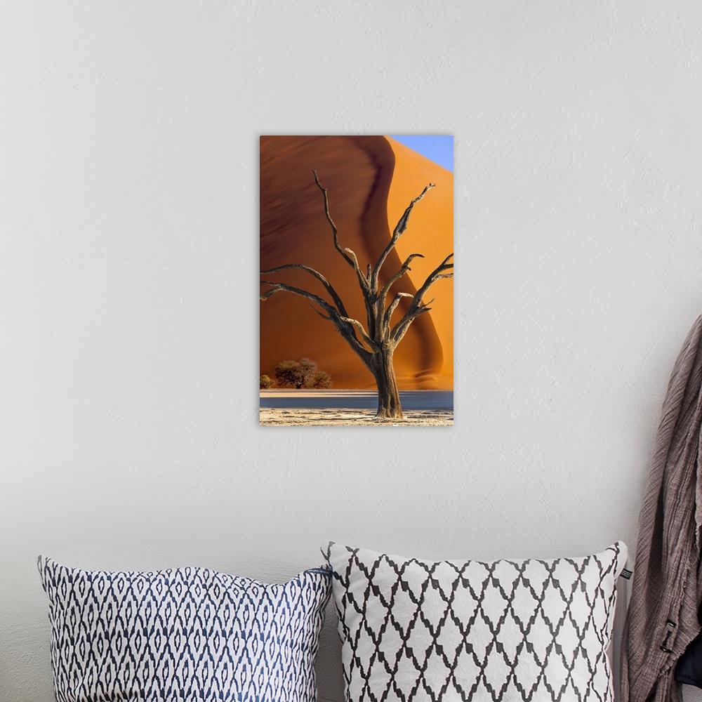 A bohemian room featuring Namibia, Sossusvlei, Namib-Naukluft National Park. Composite of dead tree and sand dune.