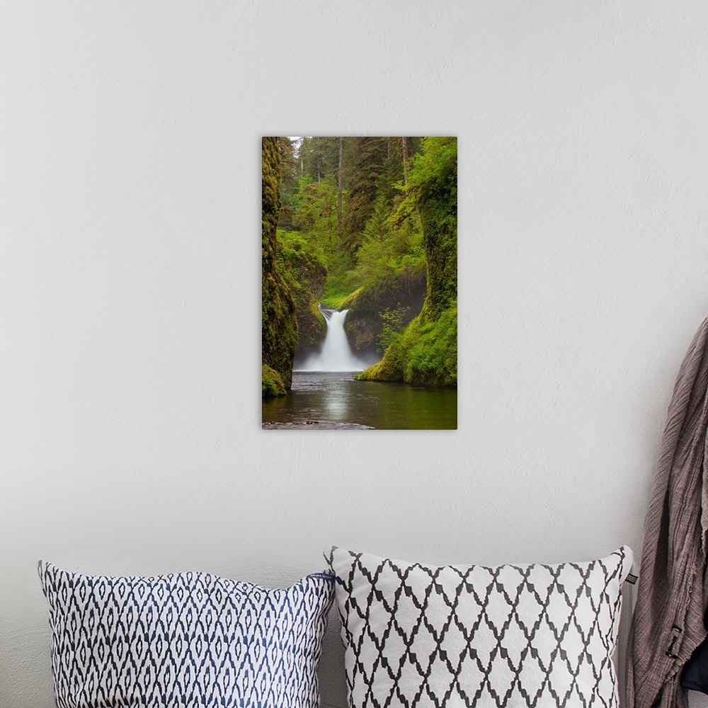 A bohemian room featuring USA, Eagle Creek, Columbia Gorge, Oregon. Punchbowl Falls on Eagle Creek.