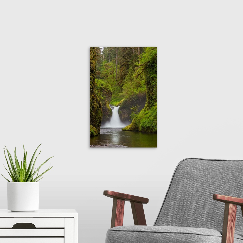 A modern room featuring USA, Eagle Creek, Columbia Gorge, Oregon. Punchbowl Falls on Eagle Creek.
