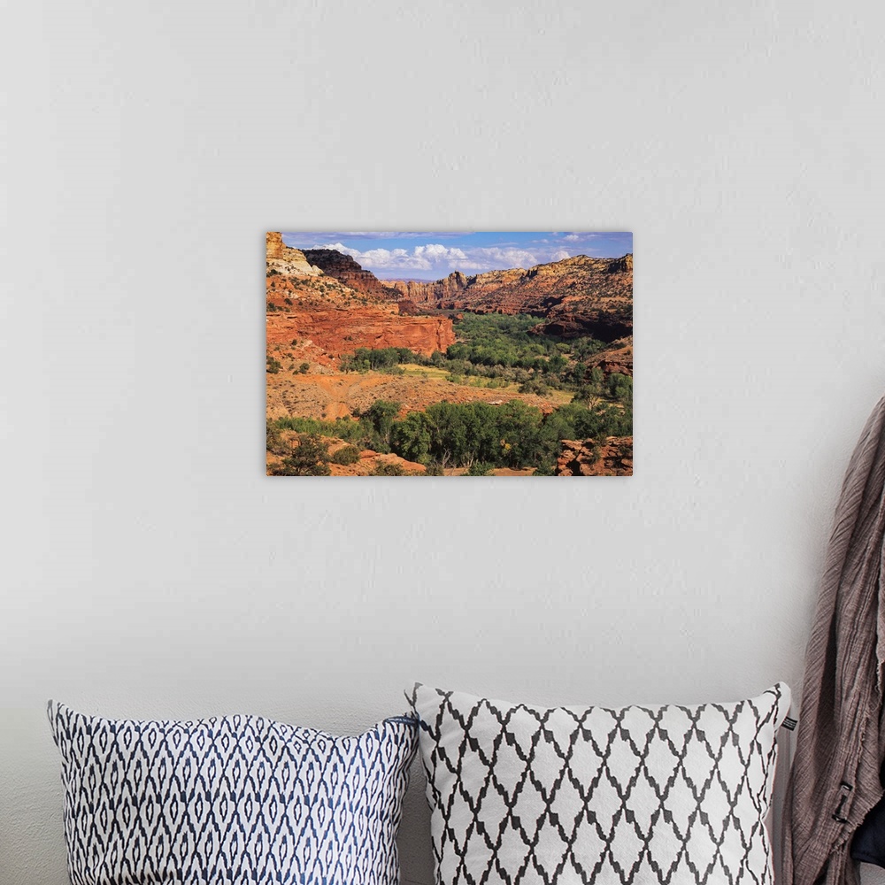A bohemian room featuring Escalante River overlook, Grand Staircase-Escalante National Monument, Utah