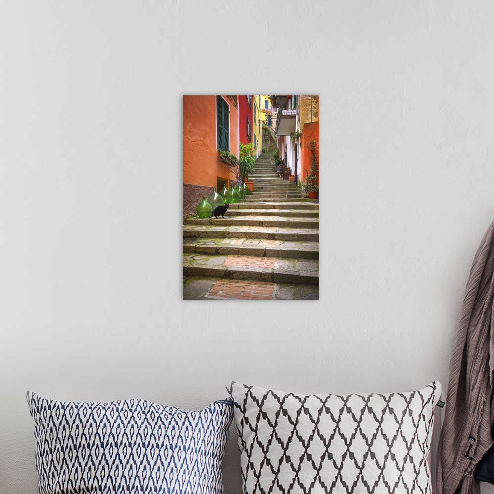 A bohemian room featuring Europe, Italy, Monterosso. Cat on long stairway. Credit: Jim Nilsen