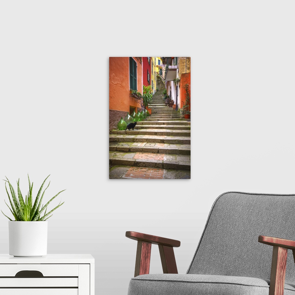 A modern room featuring Europe, Italy, Monterosso. Cat on long stairway. Credit: Jim Nilsen
