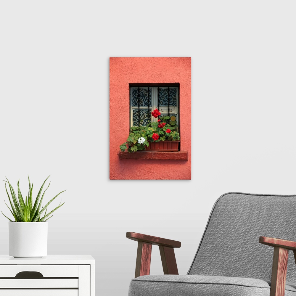 A modern room featuring Europe, Romania, Sighisoara, residential window in old town. Flowers in window.