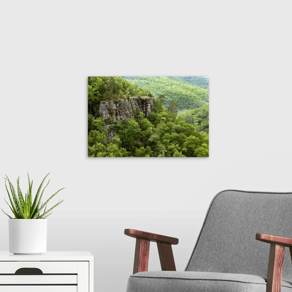 A modern room featuring Exposed bluffs at Hemmed in Hollow, Buffalo National River, Arkansas.