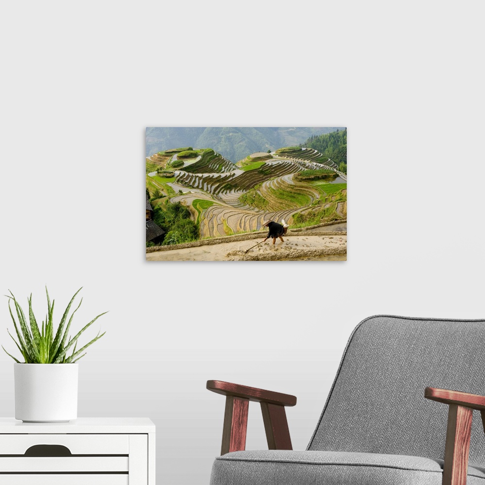A modern room featuring Chinese farmer preparing field for planting rice, Seven Stars and Moon viewpoint, Dragon's Backbo...