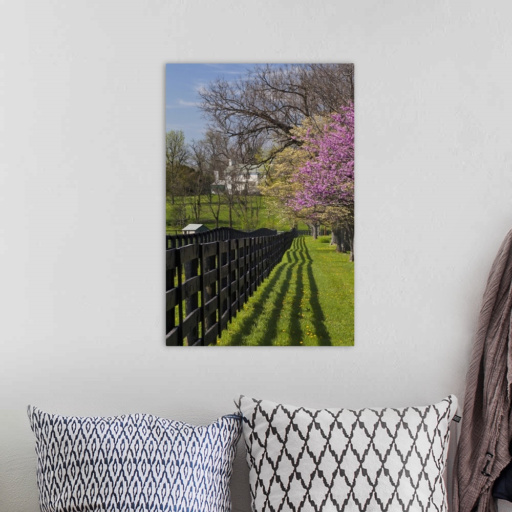 A bohemian room featuring Fence and dogwood and redbud trees in early spring, Lexington, Kentucky