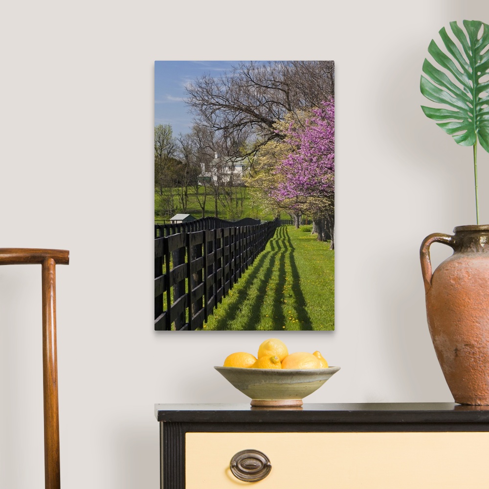 A traditional room featuring Fence and dogwood and redbud trees in early spring, Lexington, Kentucky