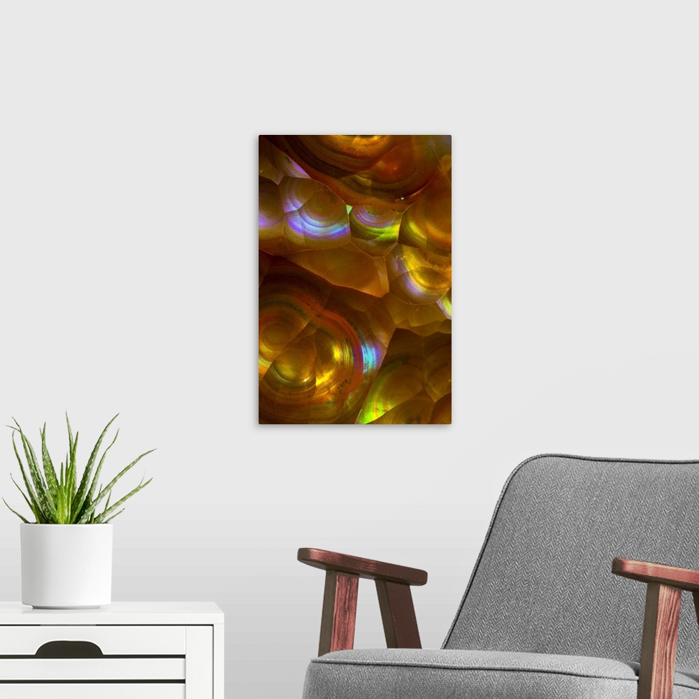 A modern room featuring Fire Opal from Australia.