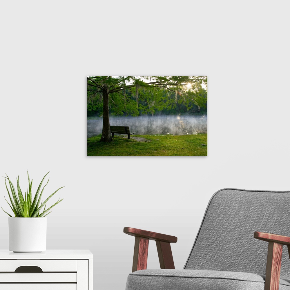 A modern room featuring Overlooking Alexander Springs.Alexander Springs Recreational Area, Ocala National Forest, FL.Mare...
