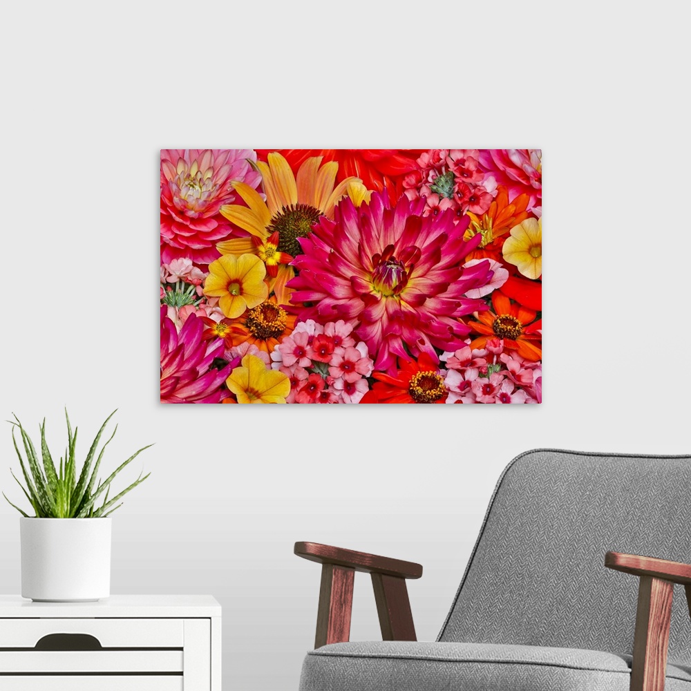 A modern room featuring Flower pattern with large group of flowers, Sammamish, Washington State