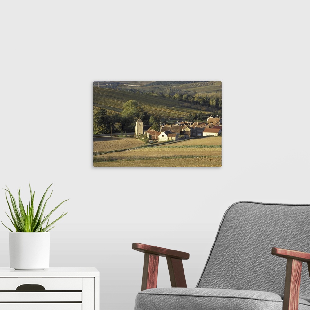 A modern room featuring Europe, France, Burgundy, Milly, Yonne.Vineyards of Chablis