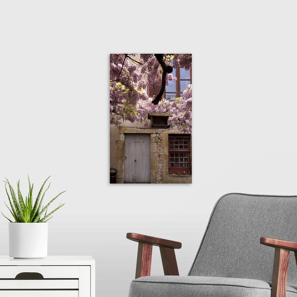 A modern room featuring France, Burgundy, Yonne, Vezelay, Spring Flowers