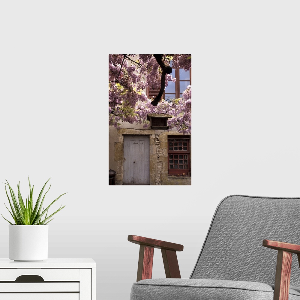 A modern room featuring France, Burgundy, Yonne, Vezelay, Spring Flowers