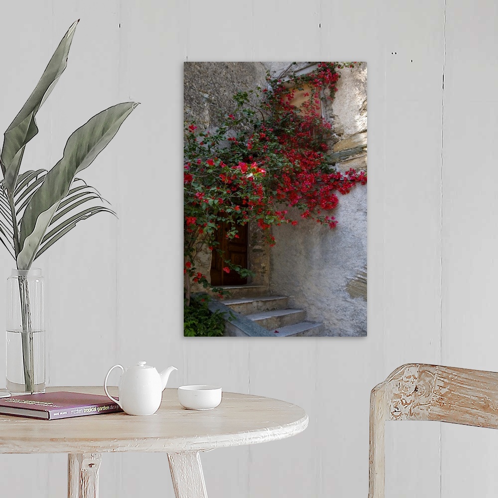 A farmhouse room featuring France, Corsica, Bougainvillea In Bloom Above Entrance To House In Oletta
