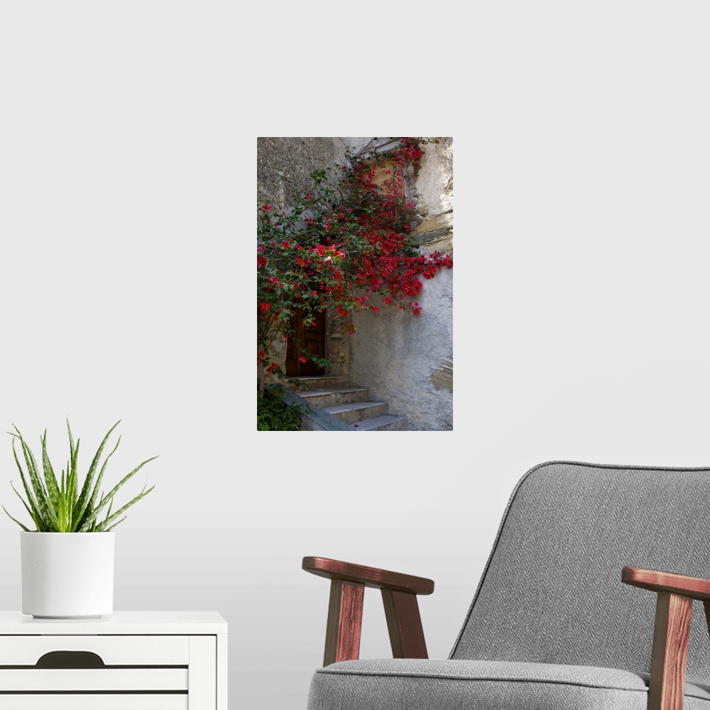 A modern room featuring France, Corsica, Bougainvillea In Bloom Above Entrance To House In Oletta