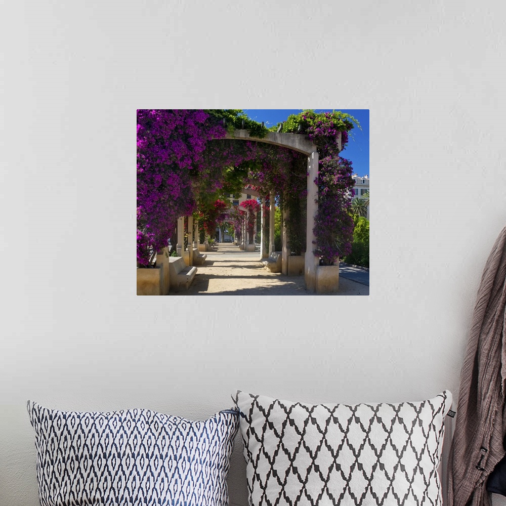 A bohemian room featuring France, Corsica, Flowers In Bloom On Arbors Above Walkway At Place De Gaulle, Ajaccio