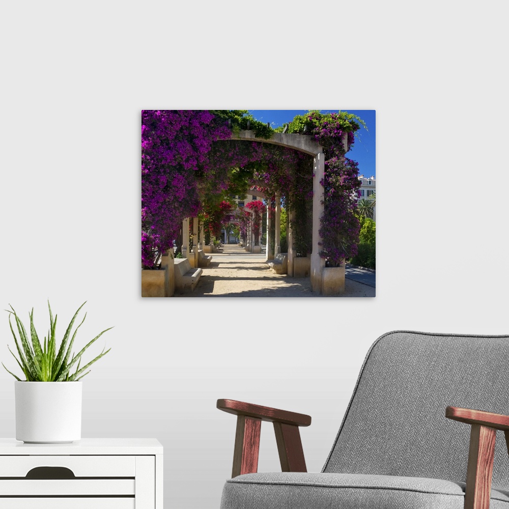A modern room featuring France, Corsica, Flowers In Bloom On Arbors Above Walkway At Place De Gaulle, Ajaccio
