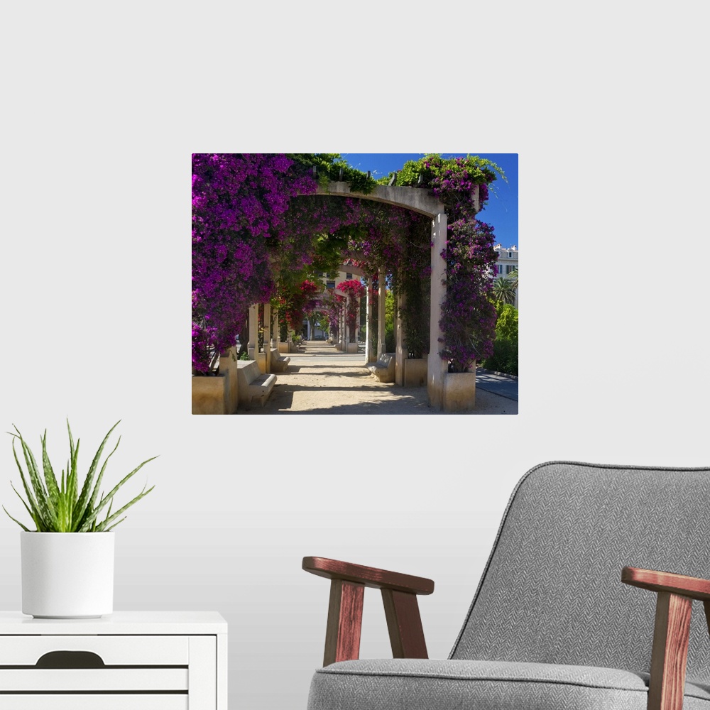 A modern room featuring France, Corsica, Flowers In Bloom On Arbors Above Walkway At Place De Gaulle, Ajaccio
