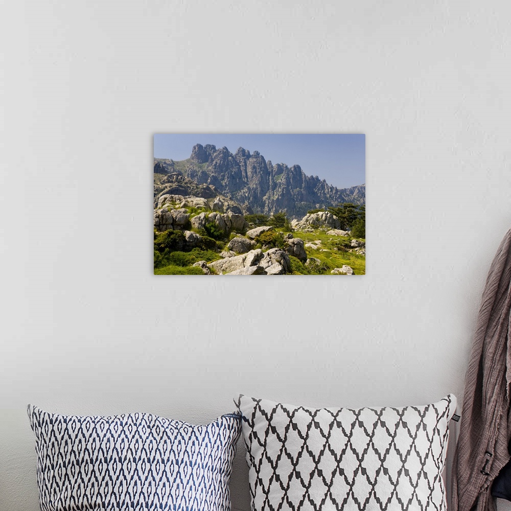 A bohemian room featuring Corsica. France. Europe. Granite boulders, gorse in bloom, and pinnacles of Aiguilles de Bavella....