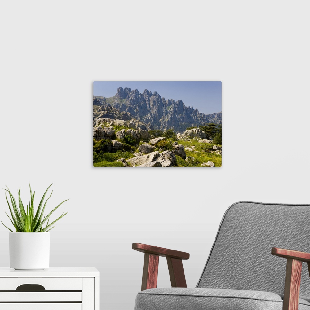 A modern room featuring Corsica. France. Europe. Granite boulders, gorse in bloom, and pinnacles of Aiguilles de Bavella....