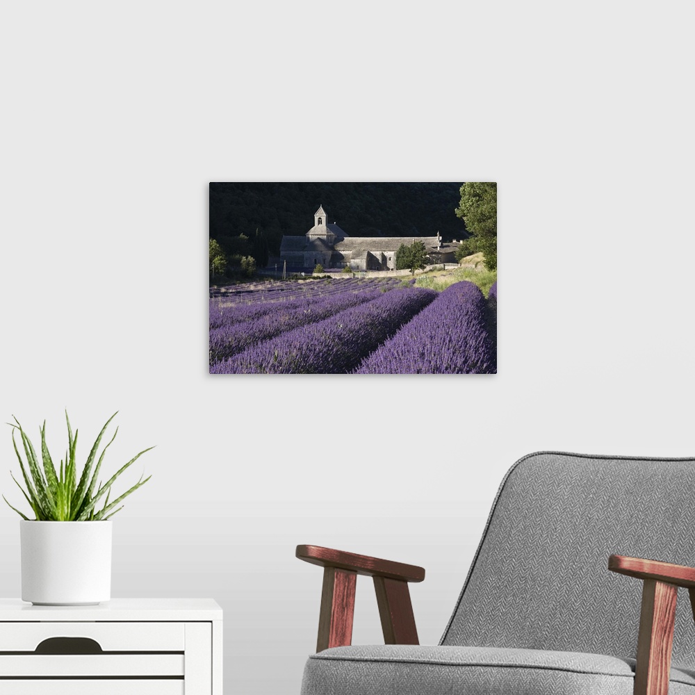 A modern room featuring France, Luberon, Senanque Monastery with lavender fields.