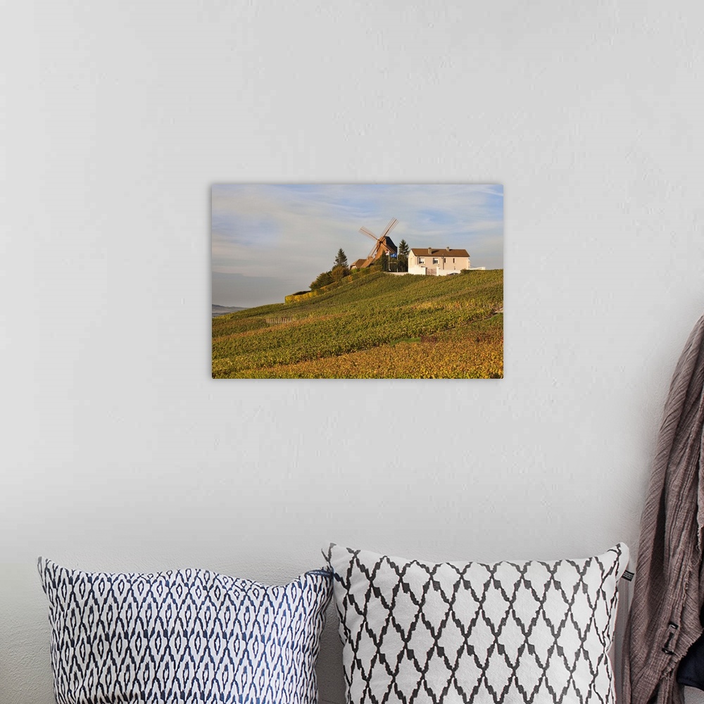 A bohemian room featuring France, Marne, Champagne Ardenne, Verzenay, Windmill And Vineyards