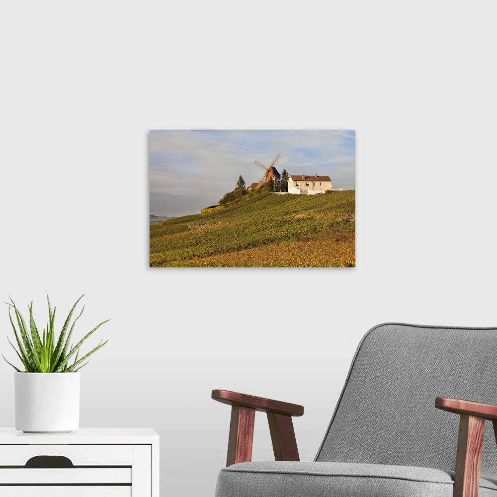 A modern room featuring France, Marne, Champagne Ardenne, Verzenay, Windmill And Vineyards