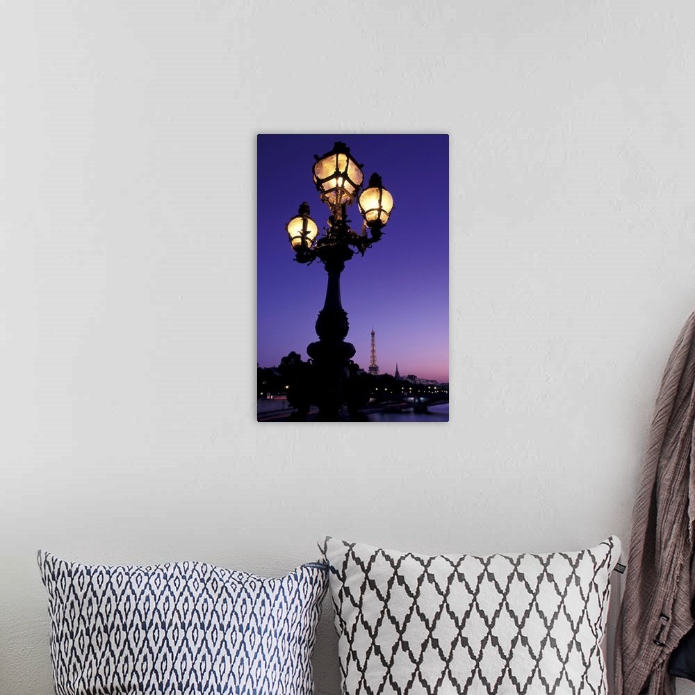 A bohemian room featuring France, Paris, Streetlamp, Pont Alexandre III, Eiffel Tower In Background