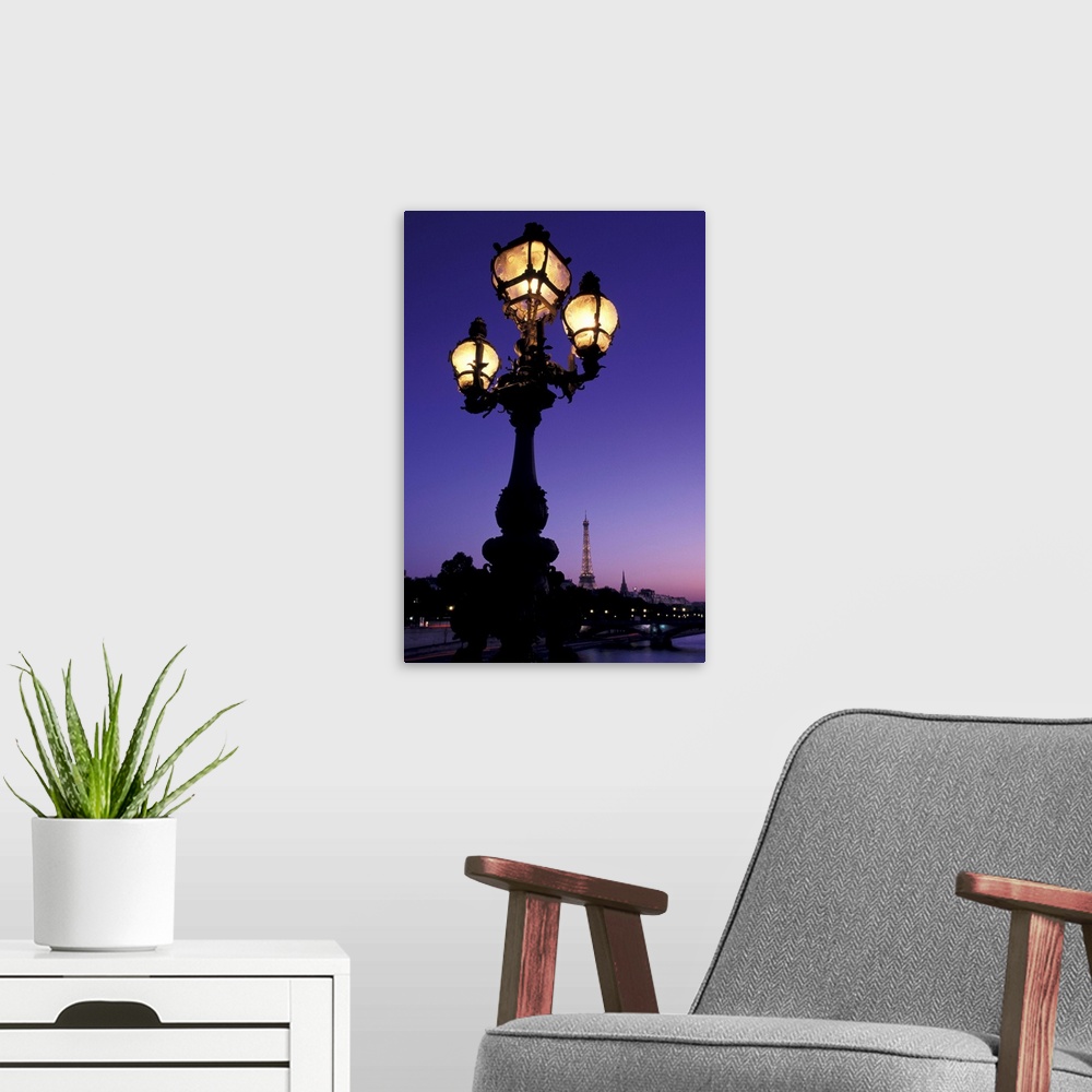 A modern room featuring France, Paris, Streetlamp, Pont Alexandre III, Eiffel Tower In Background