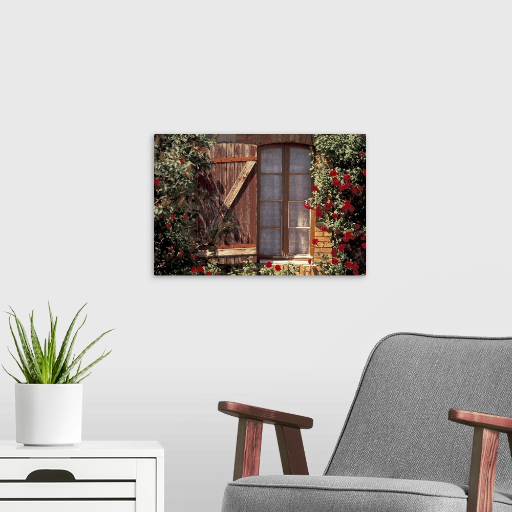 A modern room featuring France, Provence, Vaucluse, Apt, House With Summer Roses