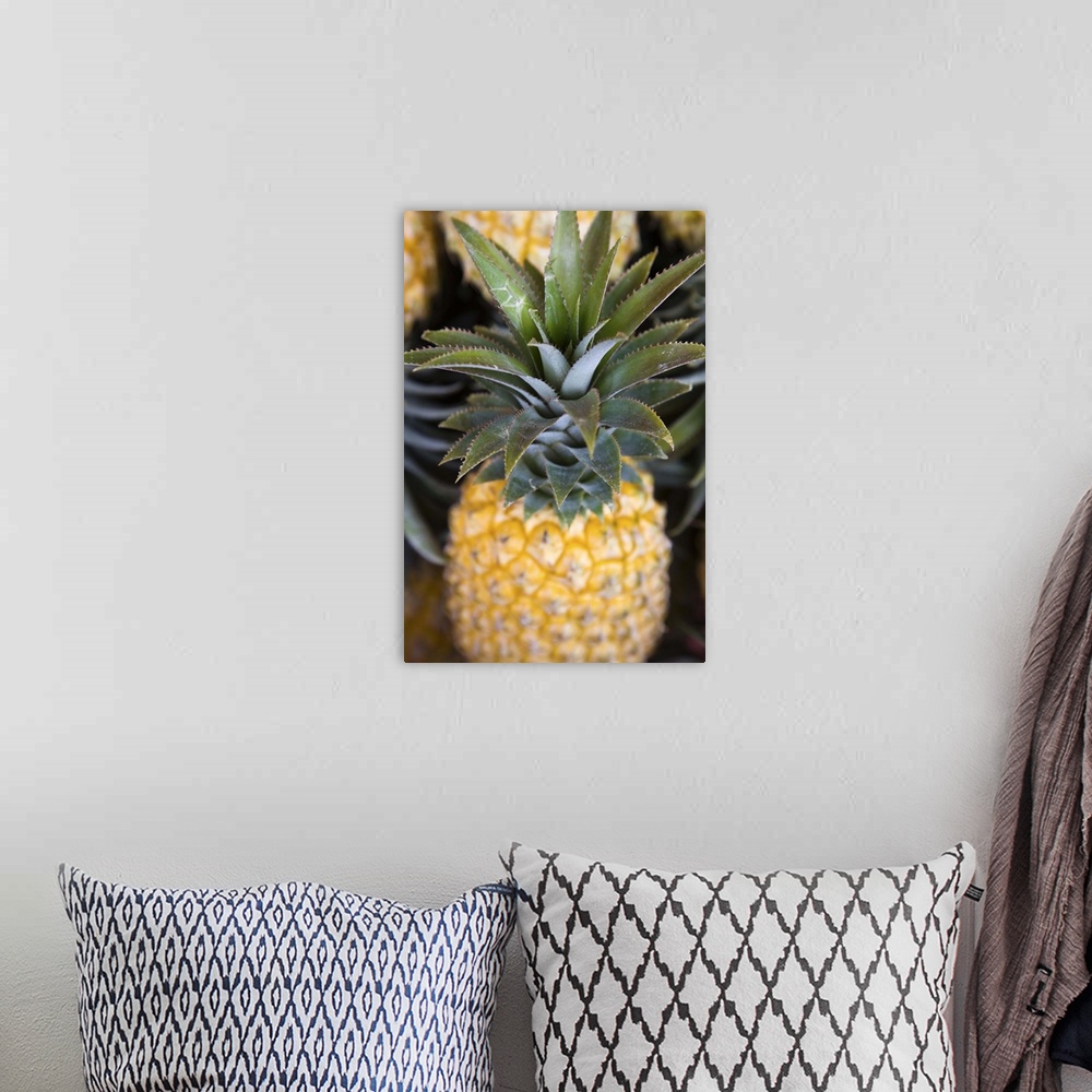 A bohemian room featuring France, Reunion Island, St. Paul, Seafront Market, Pineapples