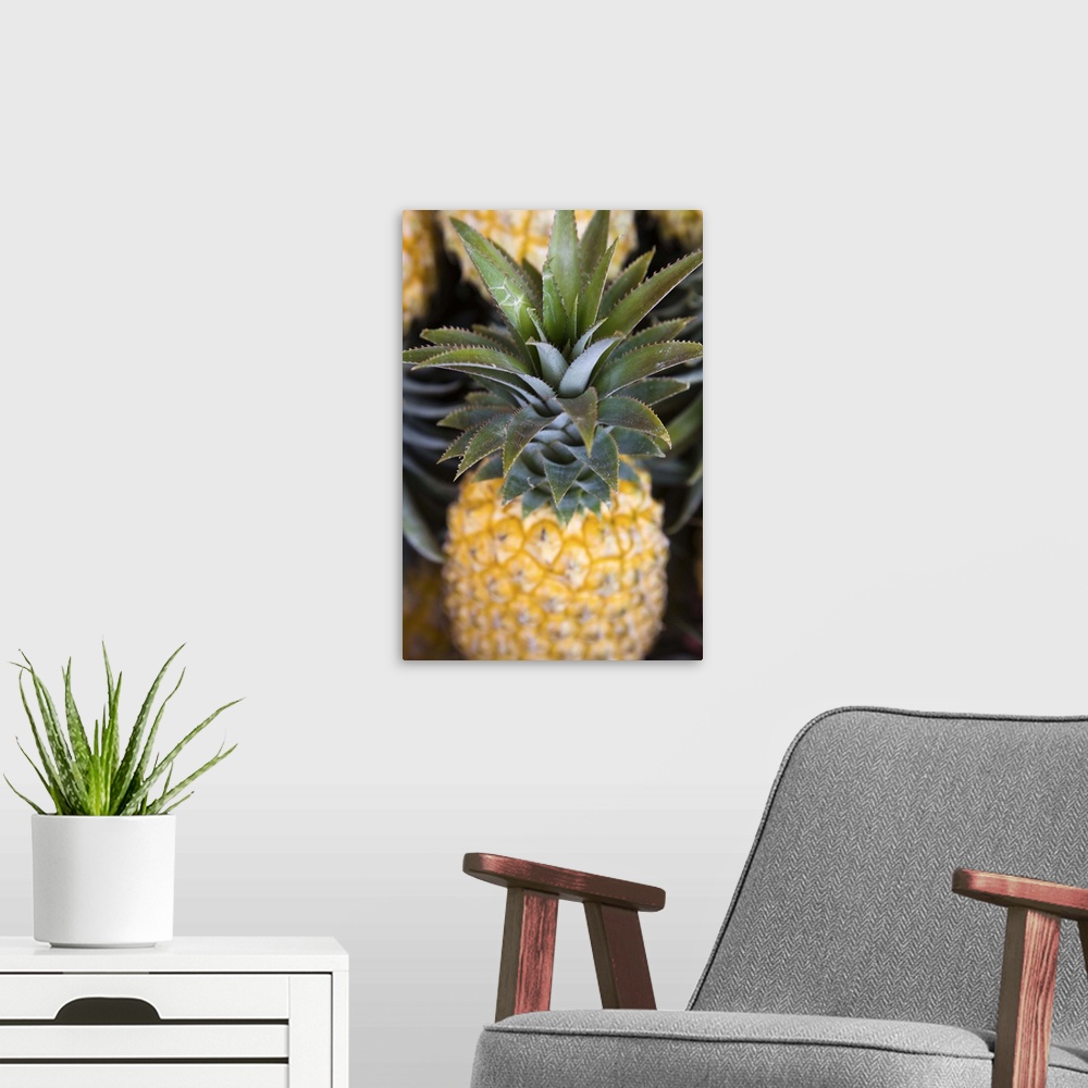A modern room featuring France, Reunion Island, St. Paul, Seafront Market, Pineapples