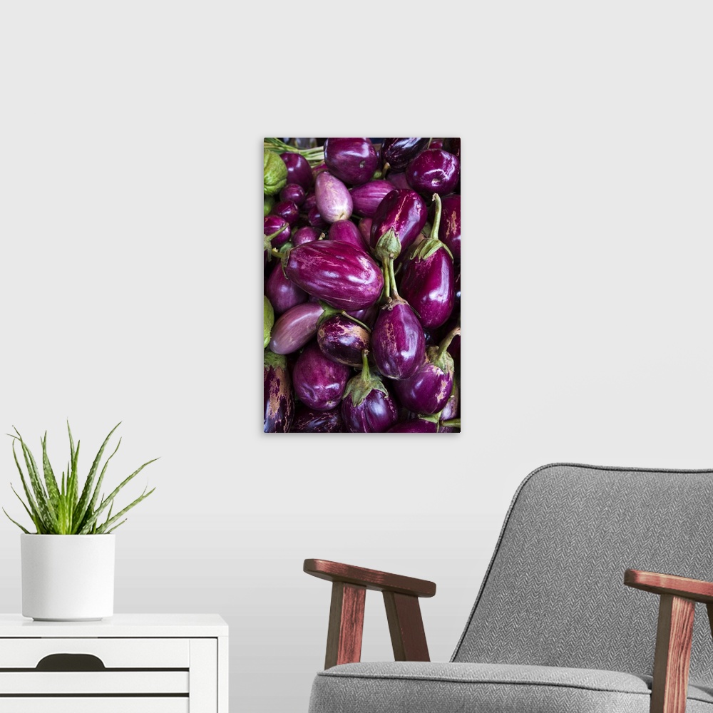 A modern room featuring France, Reunion Island, St-Paul, Seafront Market, Purple Eggplant