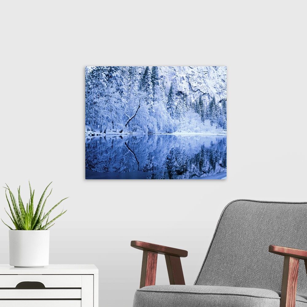 A modern room featuring Yosemite National Park, California. USA. Fresh snow on trees