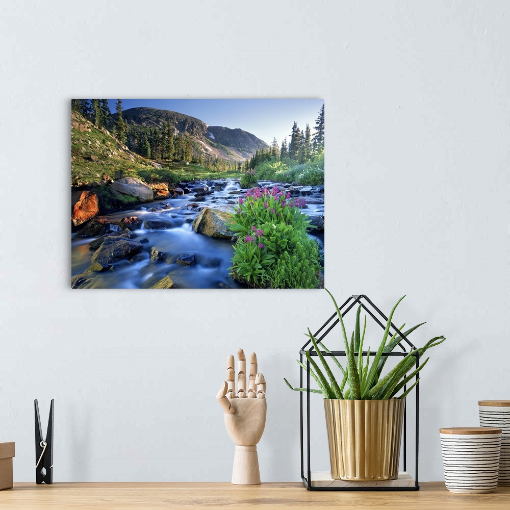A bohemian room featuring Fresh rocky mountain spring runoff cascades past wildflowers in bloom in the Colorado Rocky Mount...