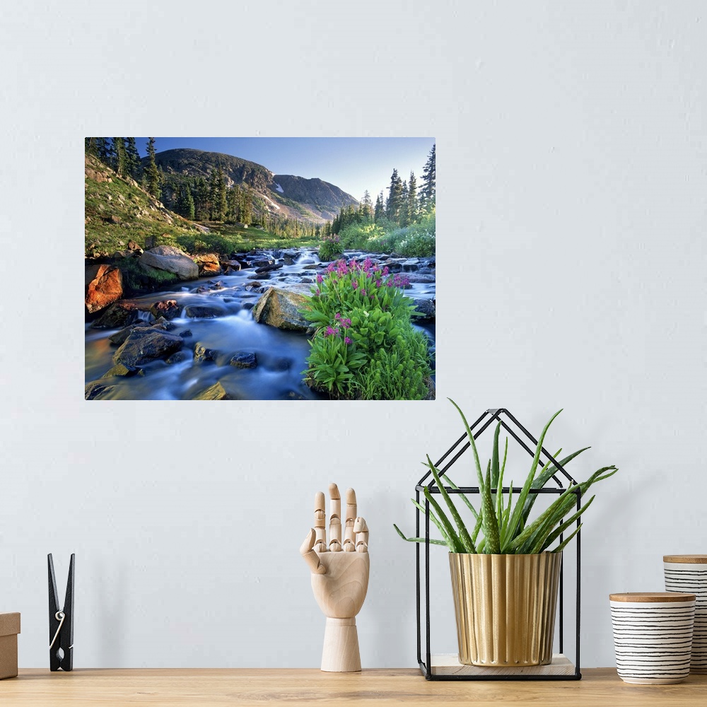 A bohemian room featuring Fresh rocky mountain spring runoff cascades past wildflowers in bloom in the Colorado Rocky Mount...