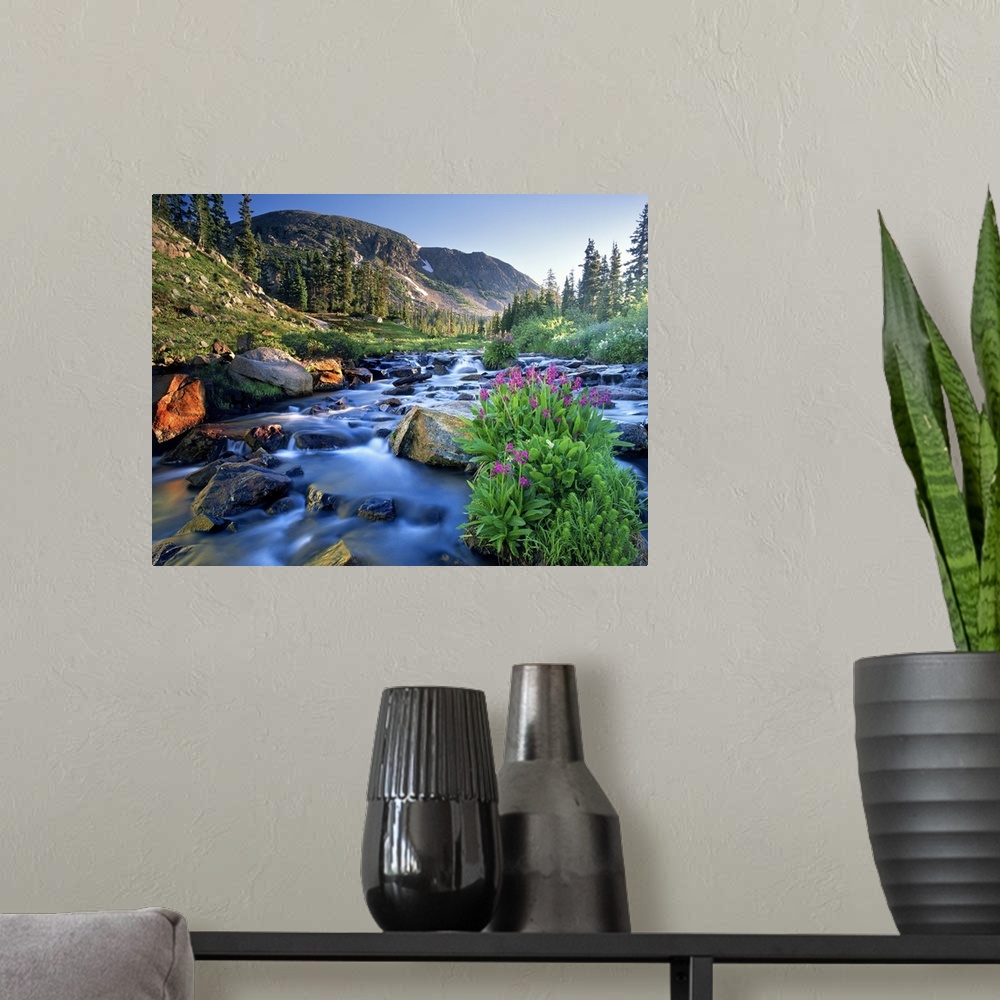 A modern room featuring Fresh rocky mountain spring runoff cascades past wildflowers in bloom in the Colorado Rocky Mount...