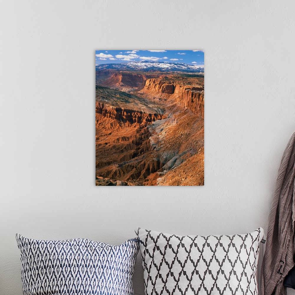 A bohemian room featuring View from Navajo Knobs at the summit of Capitol Reef. Cliffs and badlands (Wingate, Chinle, and M...