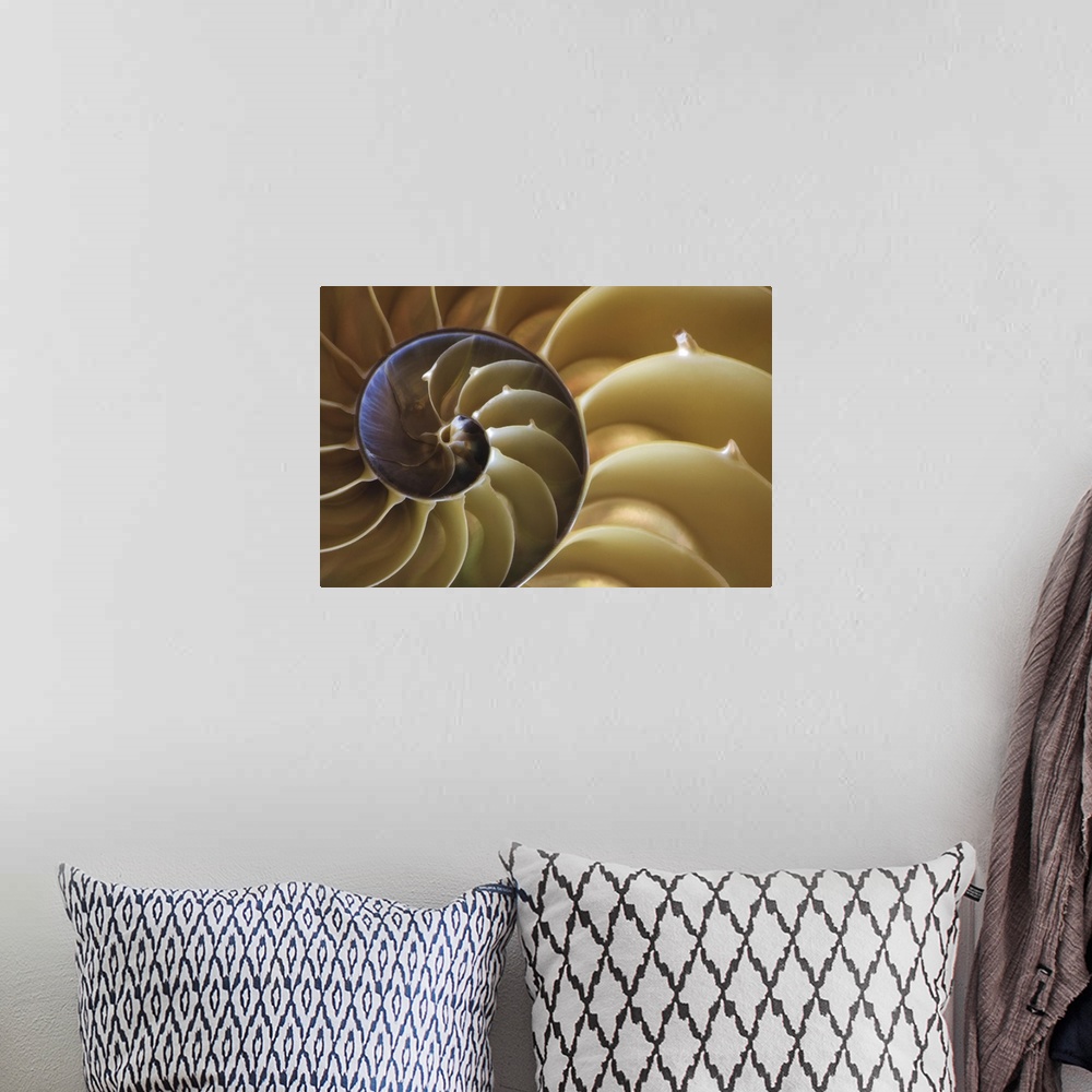 A bohemian room featuring USA, Georgia, Abstract of a nautilus shell.
