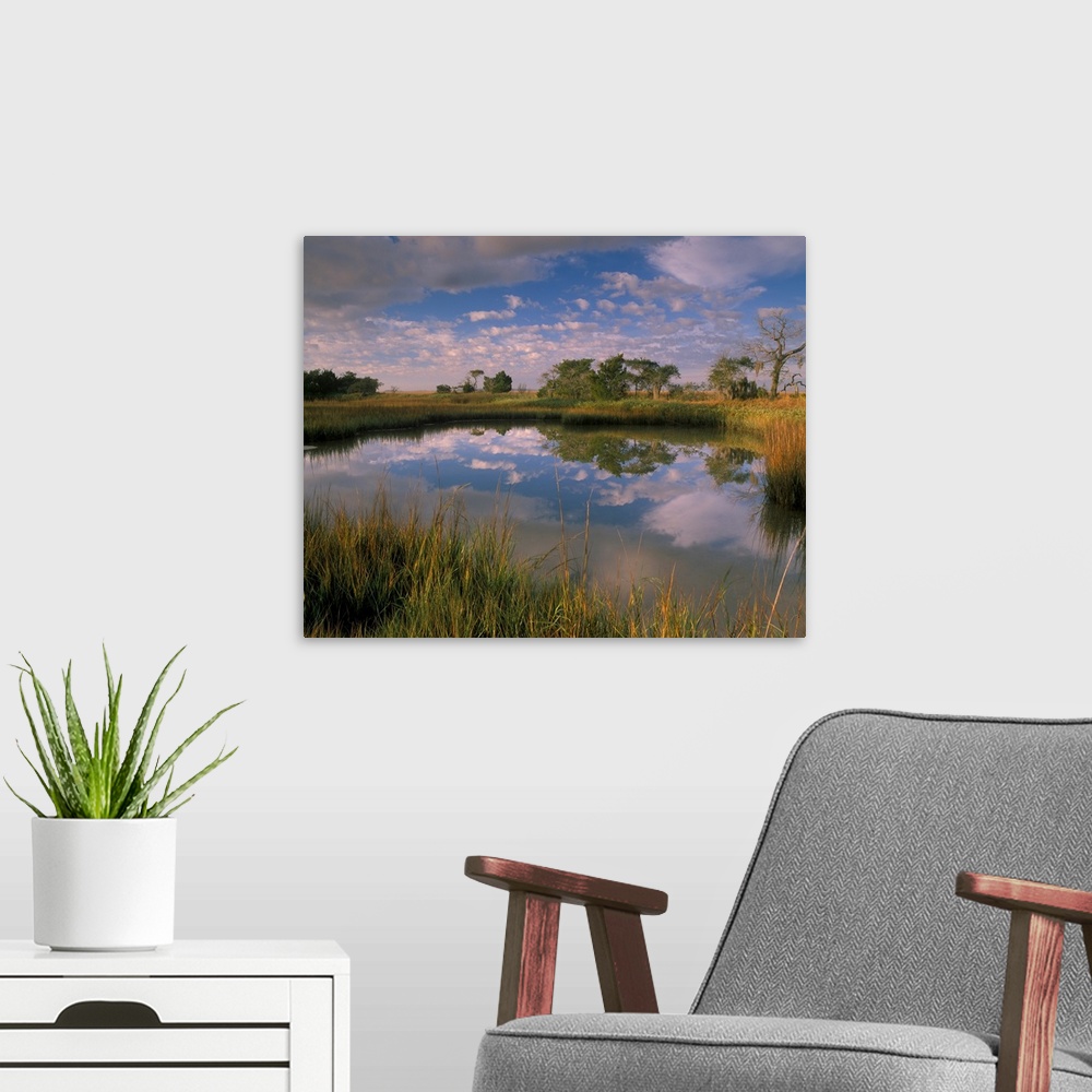 A modern room featuring Georgia Tybee Island, Reflection of clouds on tidal pond in morning light.