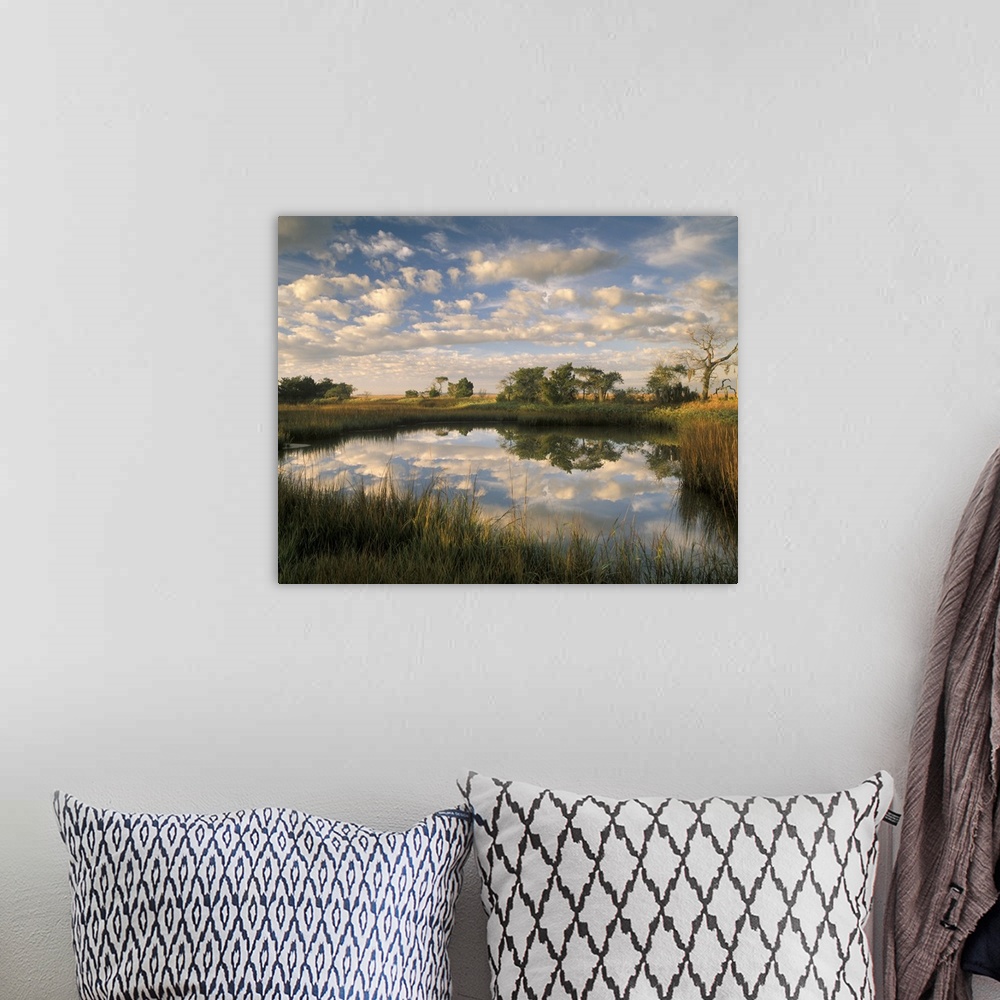 A bohemian room featuring Georgia Tybee Island, Reflections of clouds on salt water pond at Chimney Creek in morning light.