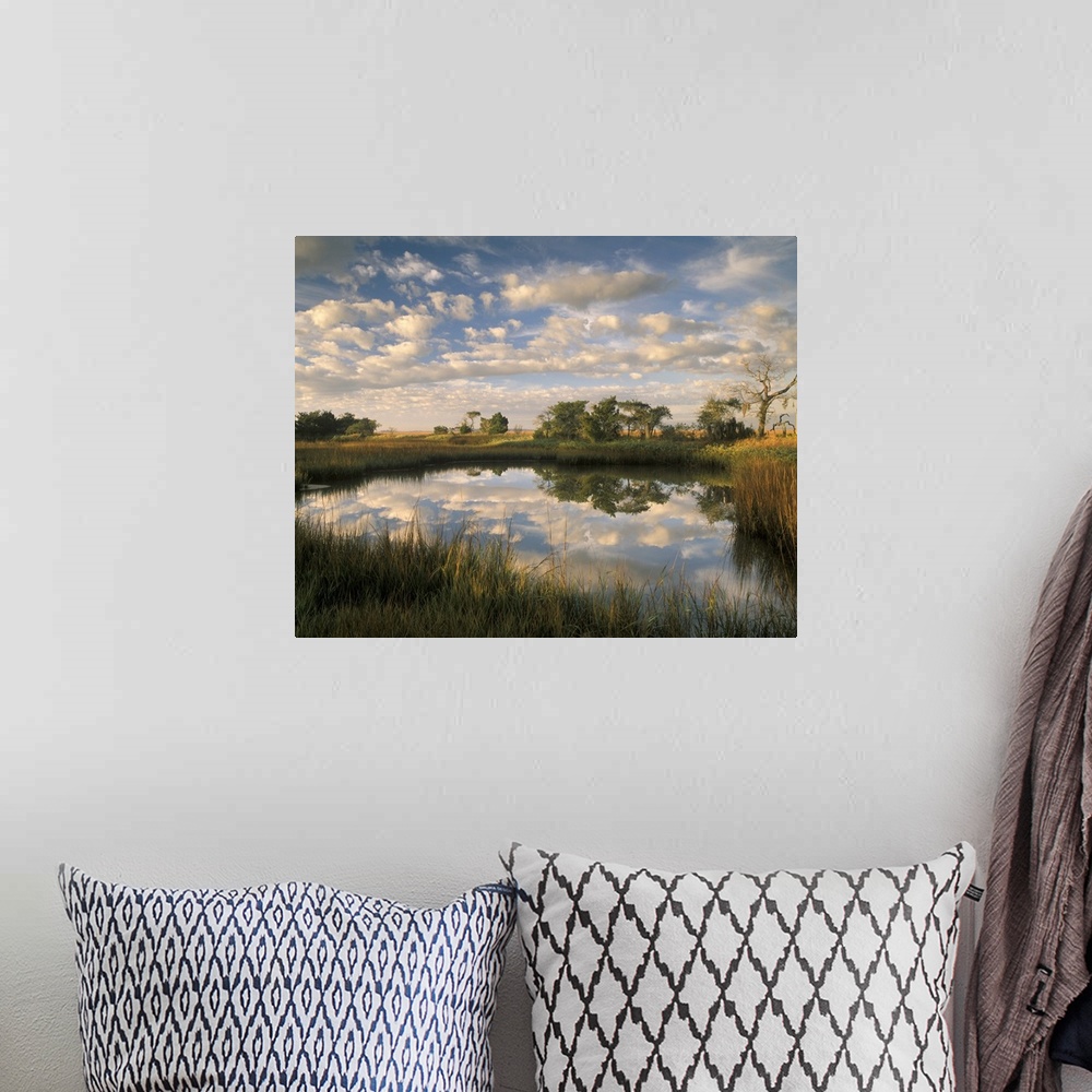 A bohemian room featuring Georgia Tybee Island, Reflections of clouds on salt water pond at Chimney Creek in morning light.