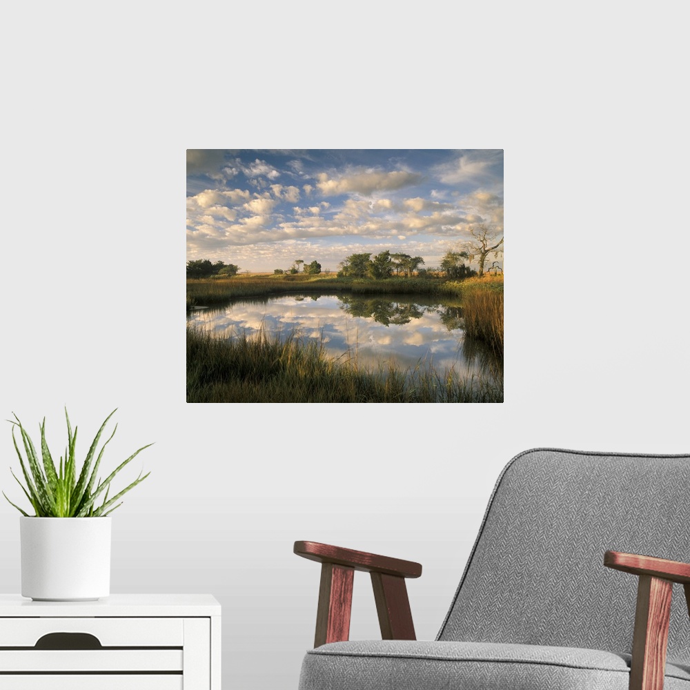 A modern room featuring Georgia Tybee Island, Reflections of clouds on salt water pond at Chimney Creek in morning light.