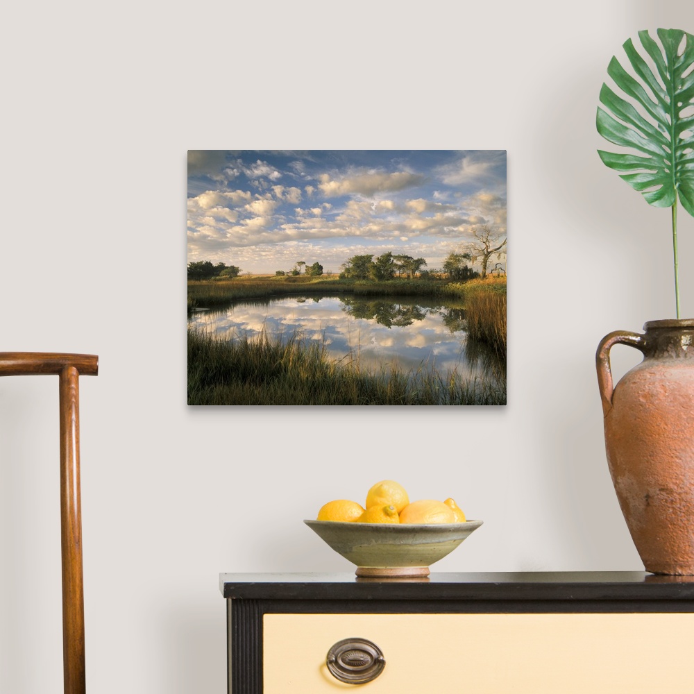 A traditional room featuring Georgia Tybee Island, Reflections of clouds on salt water pond at Chimney Creek in morning light.