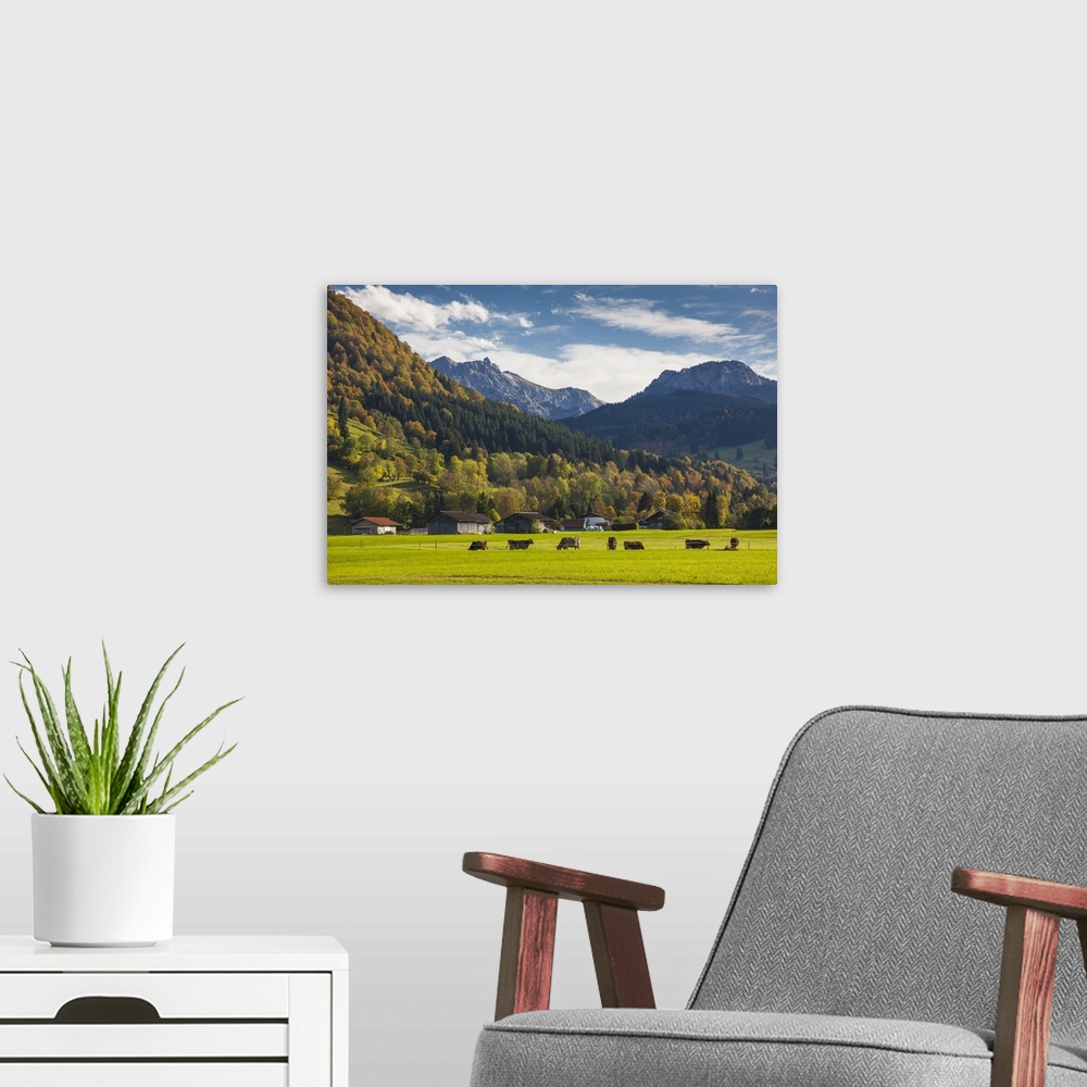 A modern room featuring Germany, Bavaria, Halblech, alpine landscape.