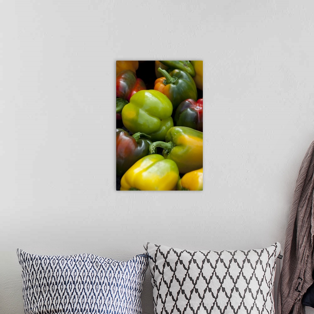 A bohemian room featuring Germany, Passau, Open-air farmer's market, Colorful sweet bell peppers