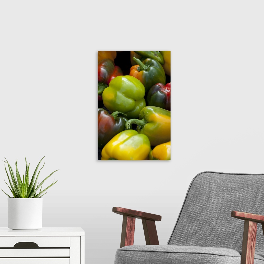A modern room featuring Germany, Passau, Open-air farmer's market, Colorful sweet bell peppers