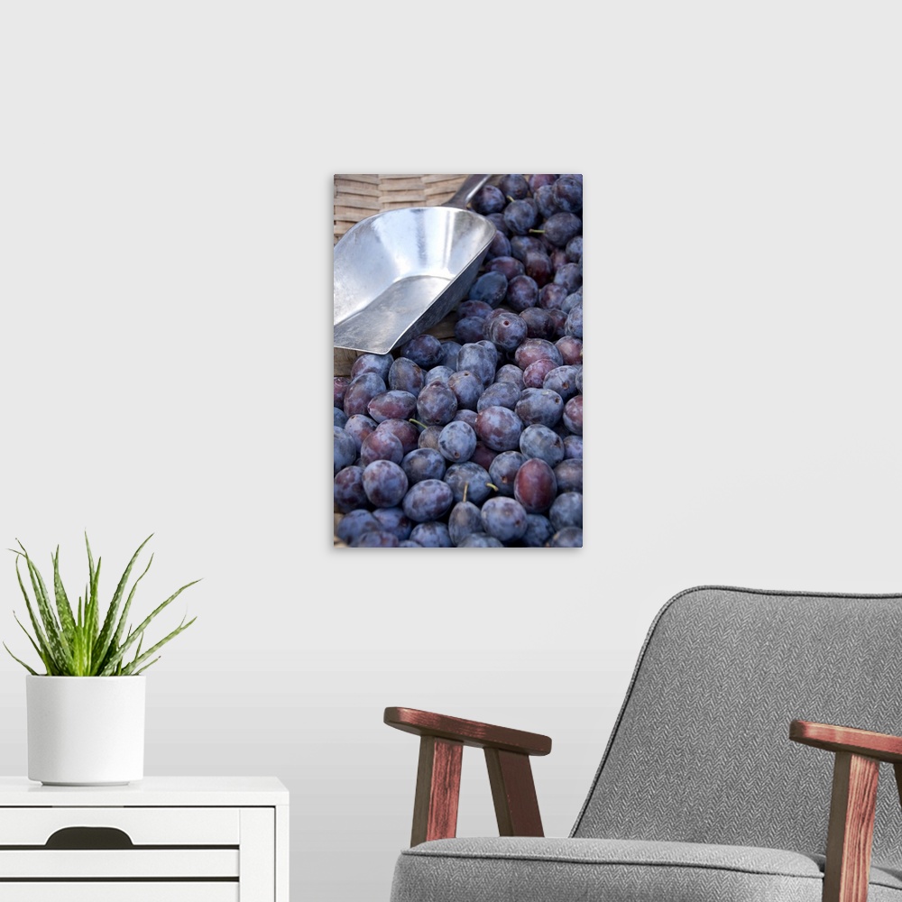 A modern room featuring Germany, Passau, Open-air farmer's market, ripe plums with scoop